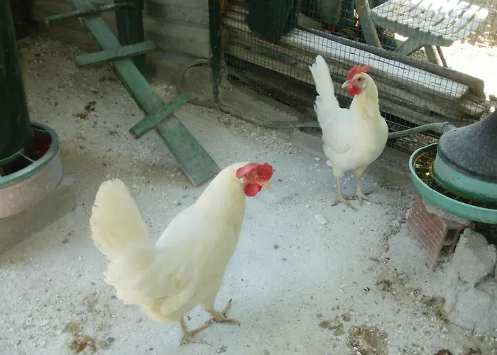 Xerxis Hill/chalkidiki τρυπητή χαλκιδικής Hébergement de vacances Nea Roda